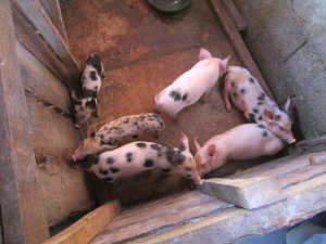 ???????????????????????????????