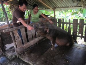 ???????????????????????????????