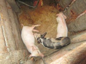 ???????????????????????????????