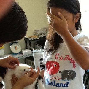 10305250_10203075984931850_9065717865486476118_n