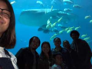 46512225_10218587317579242_5434178053817237504_n