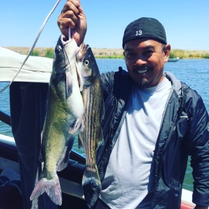 A83C3AA9-3B1F-4FF5-A15B-F796FE4B1574